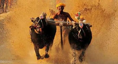 ಶಿರ್ವ: ನವೆಂಬರ್ 22ರಂದು ವಿಜೃಂಭಣೆಯಿಂದ ನಡೆಯಲಿದೆ ಐತಿಹಾಸಿಕ ನಡಿಬೆಟ್ಟು ಸೂರ್ಯ-ಚಂದ್ರ ಜೋಡುಕರೆ ಕಂಬಳ