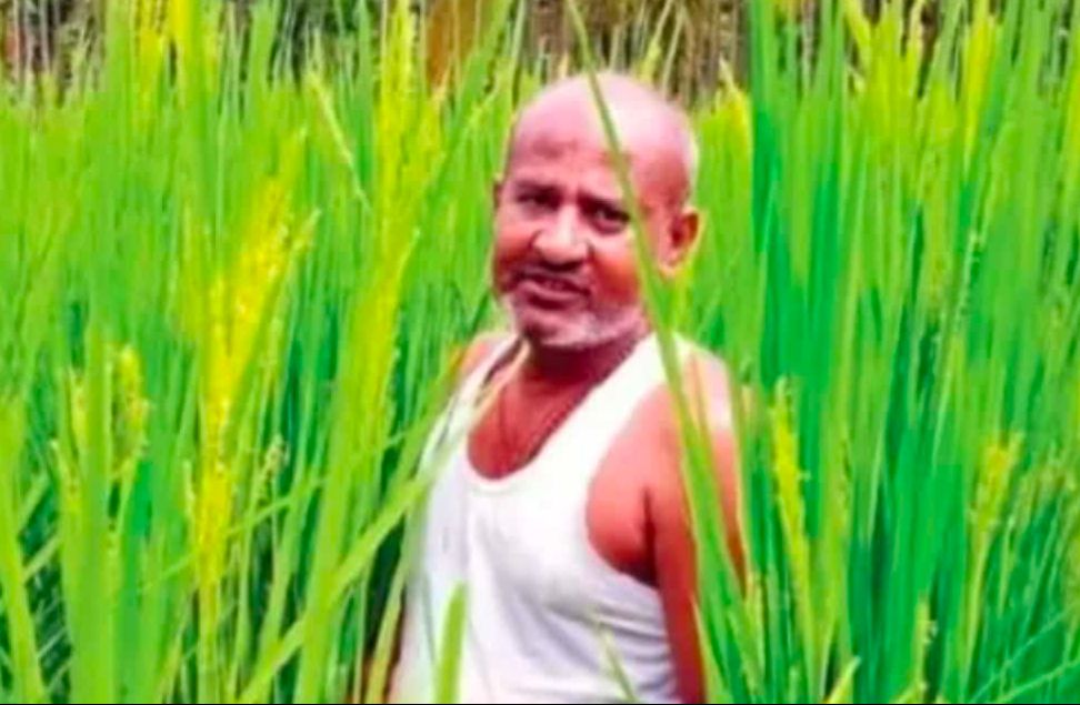 ಒಂದೇ ಬೋರ್ವೆಲ್ ನೀರು, ನೈಸರ್ಗಿಕ ಗೊಬ್ಬರ: 8 ಎಕರೆ ಭತ್ತ ಬೆಳೆದ ರೈತ..!